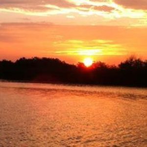 Meet your Posher, Robbie